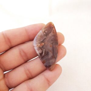 Petrified Wood Cabochon: 50.3 Carat Fancy Gemstone (53x27x5 MM)