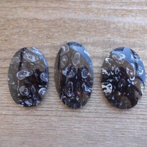 Black Fossilized Palm Root Oval Cabochon, Pendant Size Petrified Wood Gemstone Cabochon