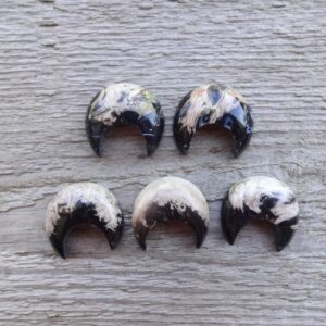 Fossilized Palm Root Crescent Moon Cabochon 25x22mm, Gemstone Moon Cabochon Pendant, No Holes, Petrified Wood Cabochon For Jewelry Making
