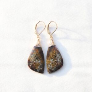 Petrified Wood Earrings: 14k Gold Filled Leverbacks, Unique Brown Stone, Autumn Vibes Petrified Wood Earrings: 14k Gold Filled Leverbacks, Unique Brown Stone, Autumn Vibes