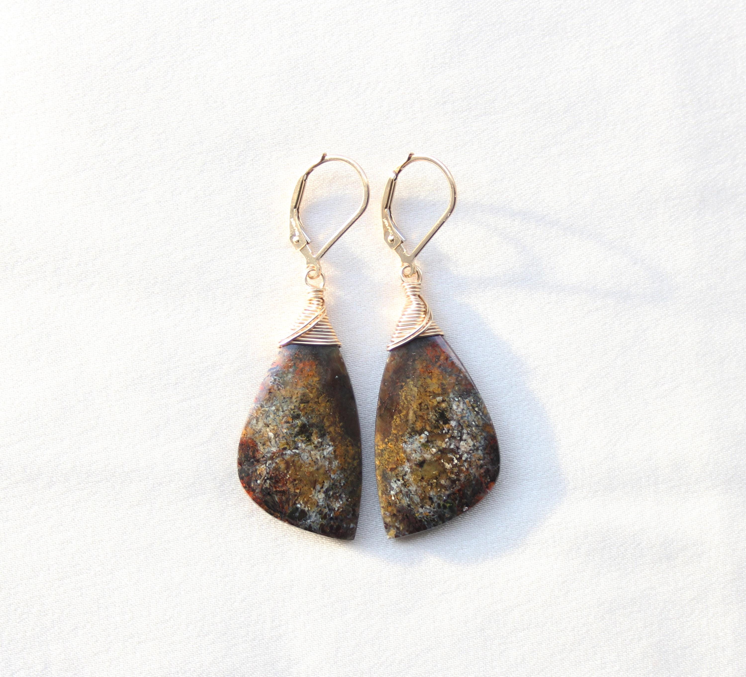 Petrified Wood Earrings: 14k Gold Filled Leverbacks, Unique Stone