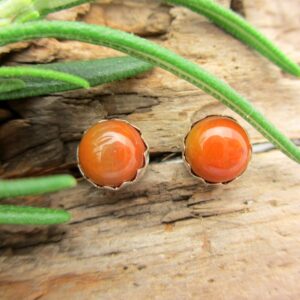 Arizona Rainbow Petrified Wood Stud Earrings, Orange Cabochon Earrings in Silver, 6mm Lot 297