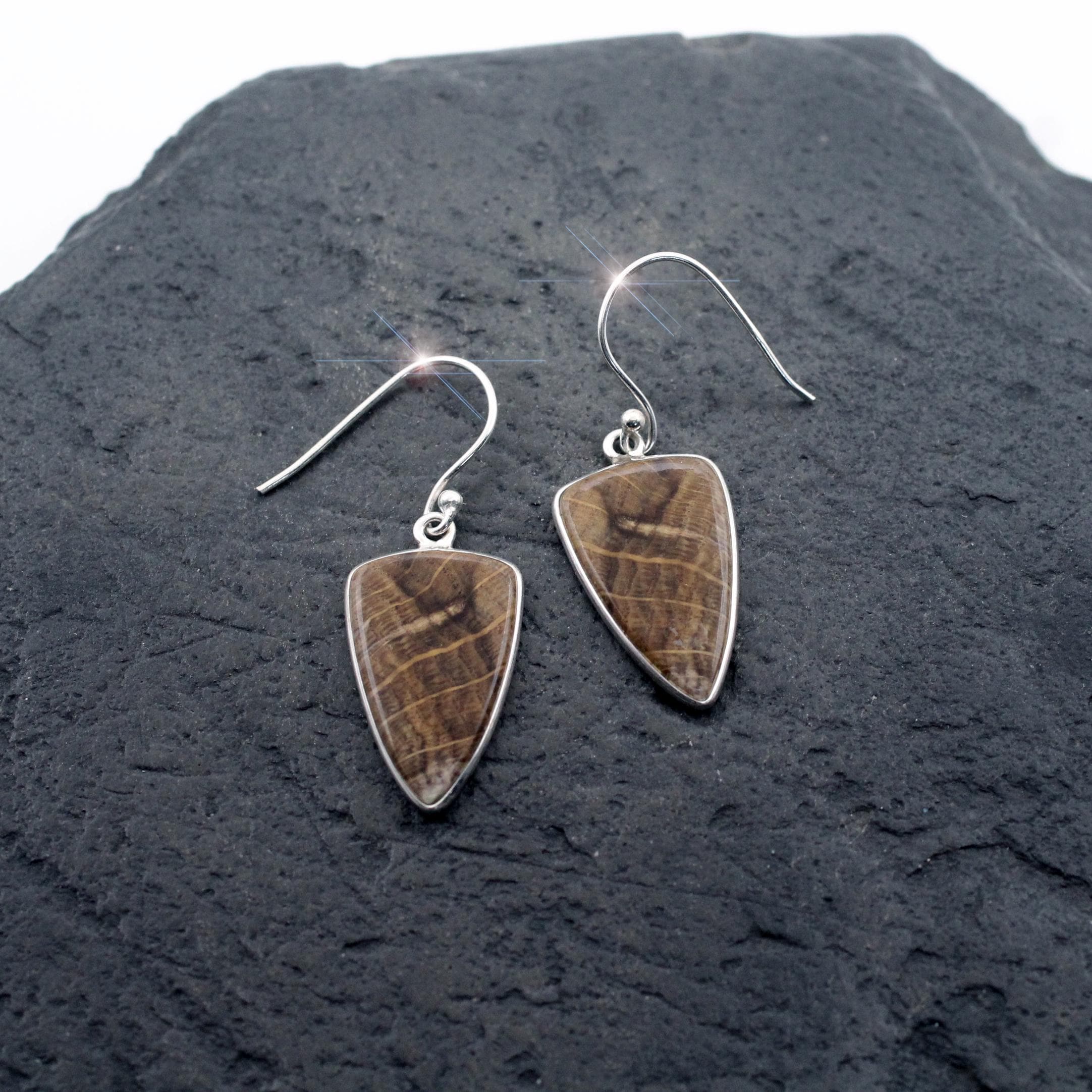 The Stone Forest - Beautiful Petrified Wood Sterling Silver Earrings The Stone Forest - Beautiful Petrified Wood Sterling Silver Earrings