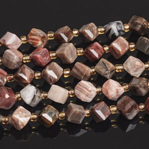 8MM Multicolor Petrified Wood Jasper Beads Grade AAA Genuine Natural Gemstone Faceted Cube Loose Beads 15"/7.5" Bulk Lot Options (126577)