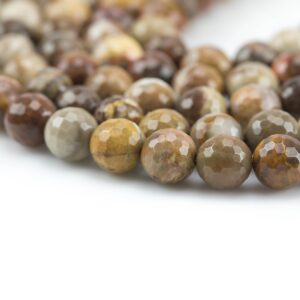 Natural Brown Petrified Wood Beads Lighter, Faceted Round High Quality - 6mm, 8mm, 10mm, 12mm- Full 15.5 Inch Strand AAA Quality