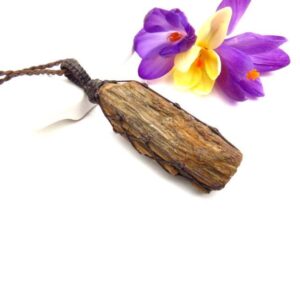 Petrified Wood Macrame Necklace, Triassic Permineralized Petrified Wood, Fathers Day Gift Ideas, Gift Ideas For The Rock Collector