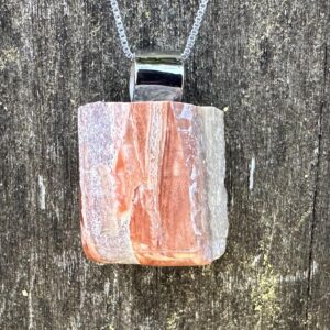 Small Unisex Petrified Wood, Stainless Steel Healing Stone Necklace!