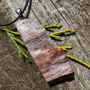 Unisex Petrified Wood, Stainless Steel Healing Stone Necklace!