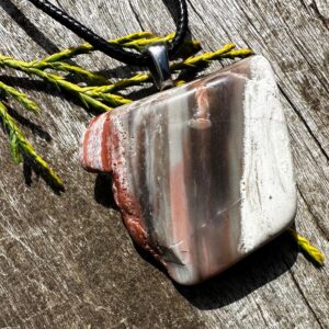 Unisex Petrified Wood, Stainless Steel Healing Stone Necklace!