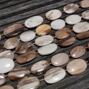 Petrified Wood 15-22mm Oval Flat Beads (etb00530)