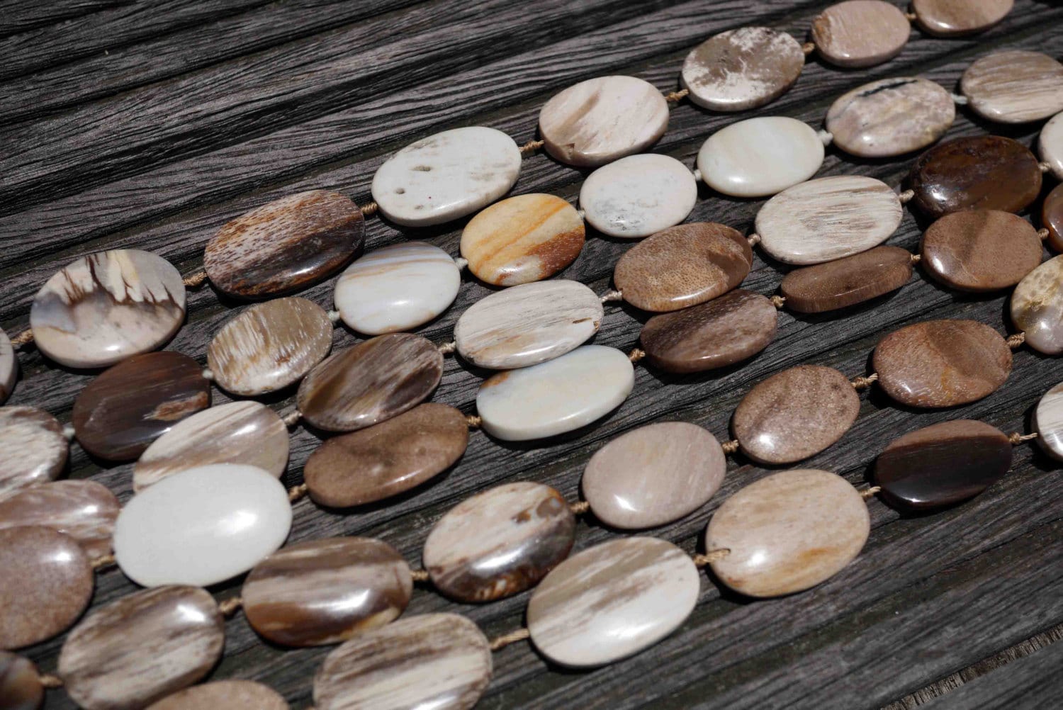 Petrified Wood 15-22mm Oval Flat Beads (etb00530) Petrified Wood 15-22mm Oval Flat Beads (etb00530)