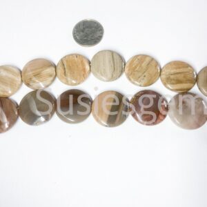 Natural Petrified wood fossil coin beads 25mm. Natural gemstone. Half strand 7.75'' 8 beads