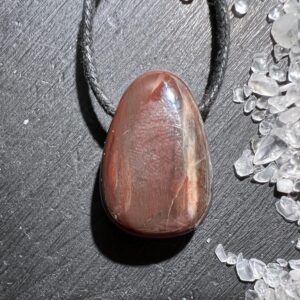 Petrified Wood Pendant 1.1 Inches Red-brown, Drilled Fossil Wood Necklace