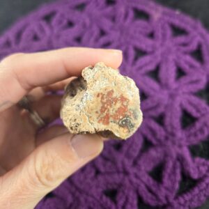 Petrified Wood Log Red Brown Polished Ends Crystal Gemstones Natural Wand Crystalized Pet Madagascar Fossil Fossilized Branch