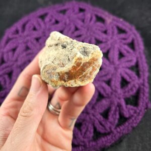 Petrified Wood Log Red Brown Polished Ends Crystal Gemstones Natural Wand Crystalized Pet Madagascar Fossil Fossilized Branch