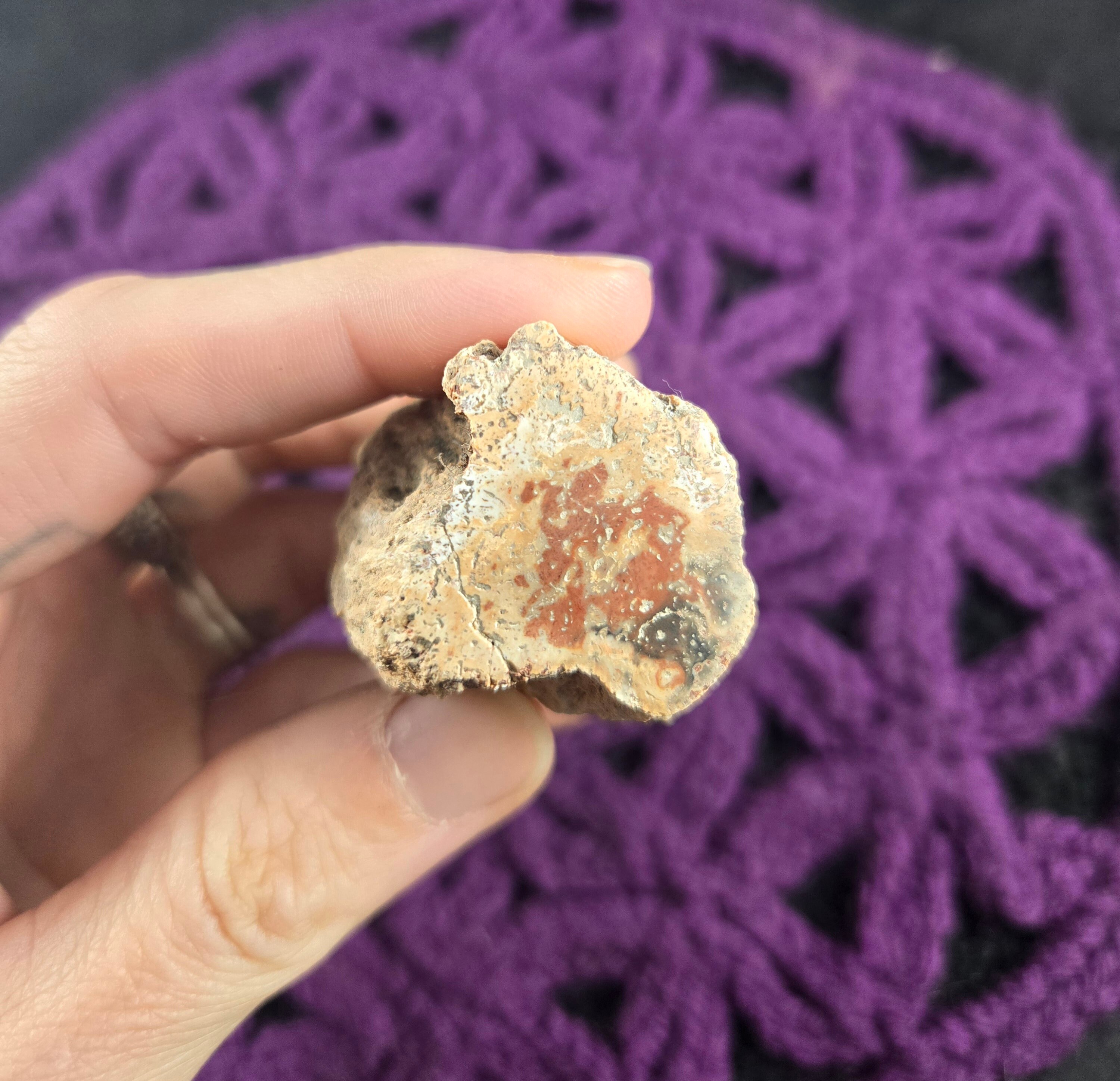 Petrified Wood Log Red Brown Polished Ends Crystal Gemstones Natural Wand Crystalized Pet Madagascar Fossil Fossilized Branch