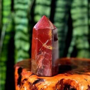 Petrified Wood Tower - for grounding & balancing energy Petrified Wood Tower - for grounding & balancing energy
