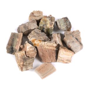 1/2LB Raw Petrified Wood Fossil Stone Specimen Collection Pocket Worry Healing Crystal Reiki 1/2LB Raw Petrified Wood Fossil Stone Specimen Collection Pocket Worry Healing Crystal Reiki