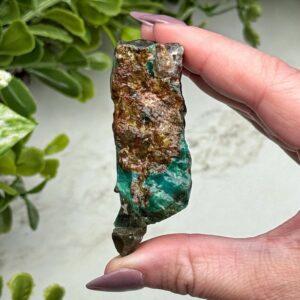 Blue Opalized Petrified Wood | 42g | - #7 (raw Fossil Crystal Specimen, Root Chakra, Healing Stone) Blue Opalized Petrified Wood | 42g | - #7 (raw Fossil Crystal Specimen, Root Chakra, Healing Stone)