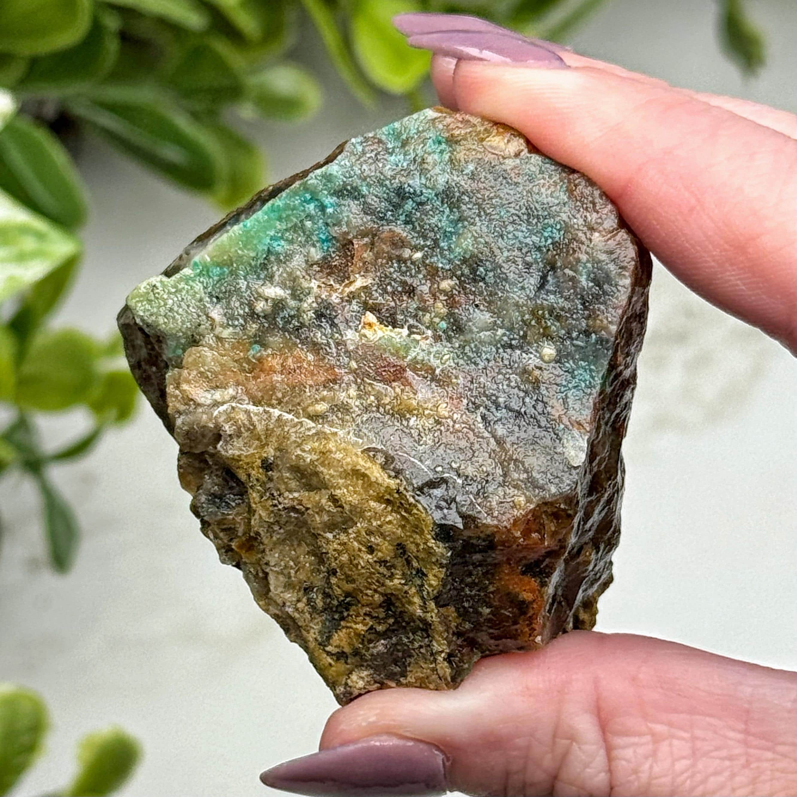 Blue Opalized Petrified Wood | 54g | - #6 (raw Fossil Crystal Specimen, Root Chakra, Healing Stone)