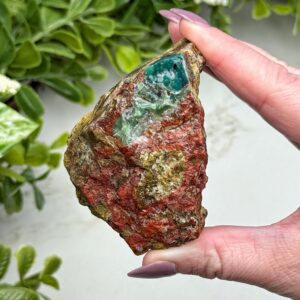 Blue Opalized Petrified Wood | 95g | - #5 (raw Fossil Crystal Specimen, Root Chakra, Healing Stone) Blue Opalized Petrified Wood | 95g | - #5 (raw Fossil Crystal Specimen, Root Chakra, Healing Stone)