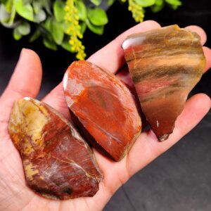 Petrified Wood Crystal, Agatized Wood, Fossilized Wood Specimen Petrified Wood Crystal, Agatized Wood, Fossilized Wood Specimen
