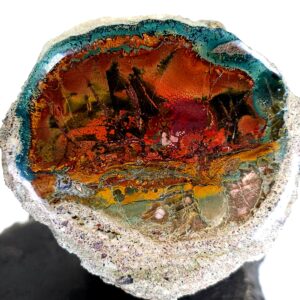 Rainbow Petrified Wood, Rare Natural Sunset Scene, Museum-grade Collector Stone, Mineral Specimen, Polished Blue Opal Fossilized Wood Rainbow Petrified Wood, Rare Natural Sunset Scene, Museum-grade Collector Stone, Mineral Specimen, Polished Blue Opal Fossilized Wood