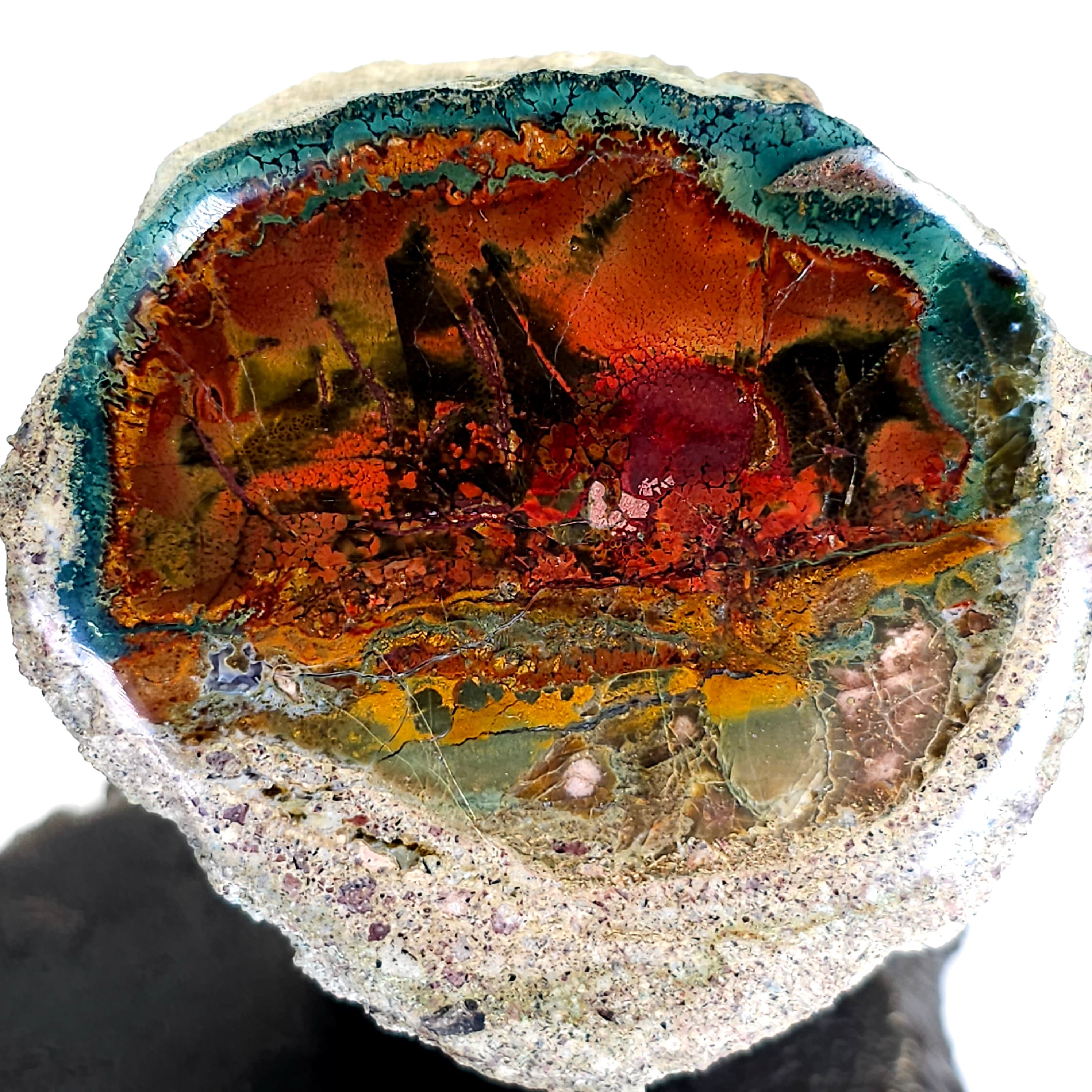Rainbow Petrified Wood, Rare Natural Sunset Scene, Museum-grade Collector Stone, Mineral Specimen, Polished Blue Opal Fossilized Wood