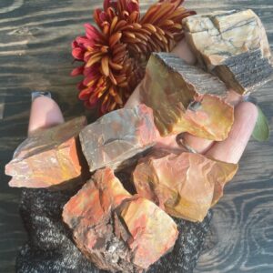 Petrified Wood, Petrified Wood Rough, Qty. 1 Chunk Petrified Wood, Petrified Wood Rough, Qty. 1 Chunk