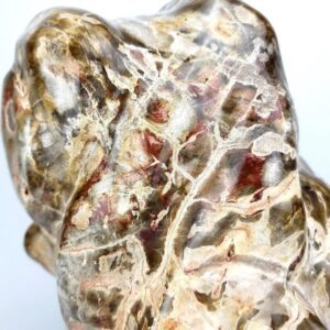 Petrified Wood Stone On Stand, Extra Large 52 Lb Polished Fossilized Wood, Natural Home Decor Mineral Specimen, Huge Petrified Wood Stone Petrified Wood Stone On Stand, Extra Large 52 Lb Polished Fossilized Wood, Natural Home Decor Mineral Specimen, Huge Petrified Wood Stone