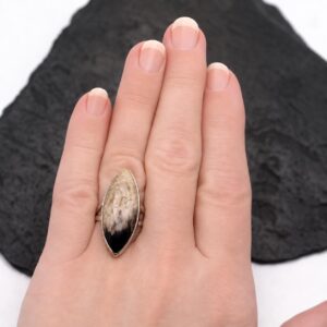The Stone Forest - Beautiful Peanut Wood Petrified Wood Sterling Silver Ring Size 7