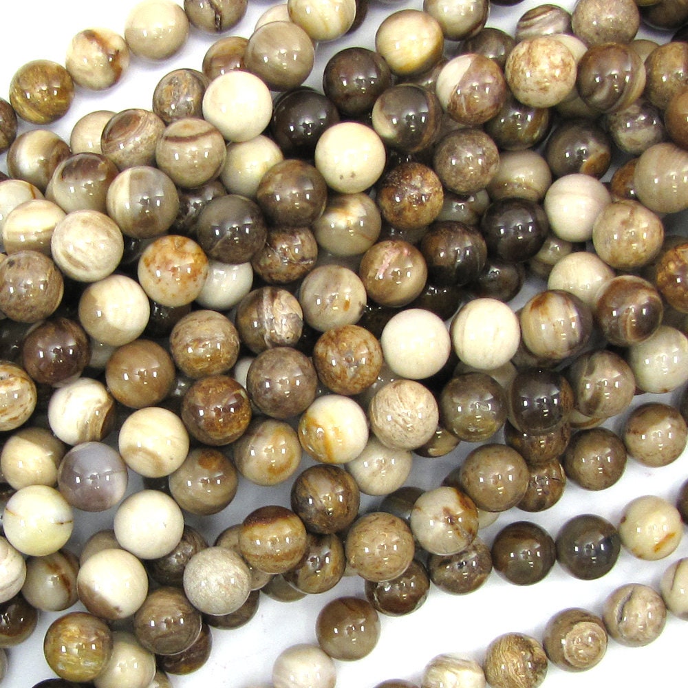 10mm Petrified Wood Agate Round Beads 15.5" Strand S3 10mm Petrified Wood Agate Round Beads 15.5" Strand S3