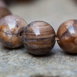 Petrified Wood Round Beads, 8.6-10.5mm Fossil Gemstone (etb00846)