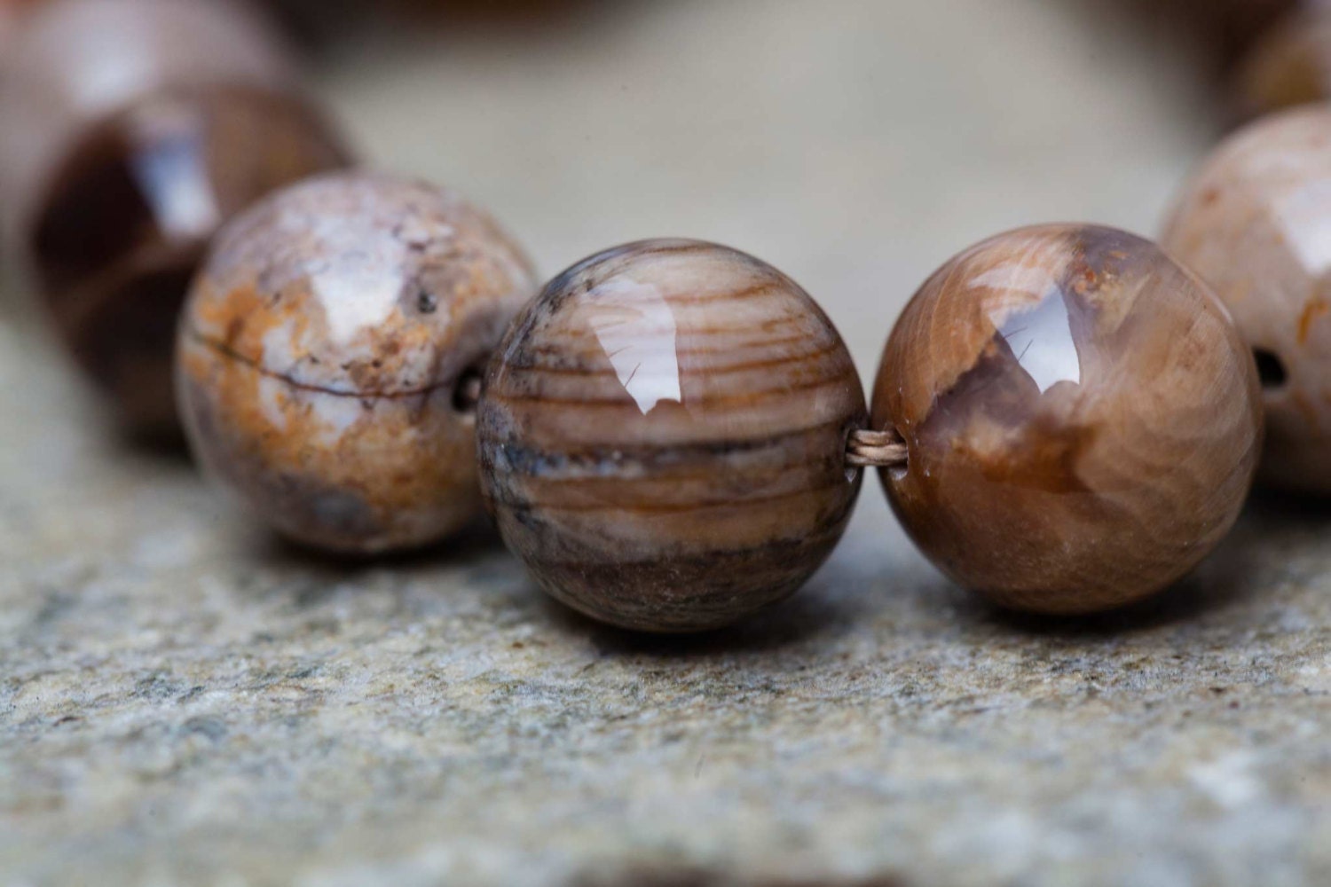 Petrified Wood Round Beads, 8.6-10.5mm Fossil Gemstone (etb00846)