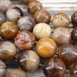 Petrified Wood Round Beads, Fossil Gemstone (15-16.5mm) (etb00848)