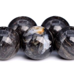 Genuine Natural Petrified Wood Jasper Gemstone Beads 8MM Black Round AAA Quality Loose Beads (103033)