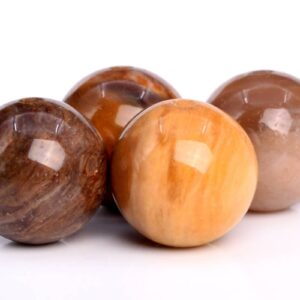 Genuine Natural Petrified Wood Jasper Gemstone Beads 8MM Brown Round AAA Quality Loose Beads (103671)