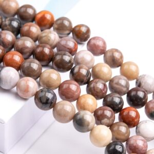 Natural Multicolor Petrified Wood Jasper Gemstone Grade Aaa Round 8mm Loose Beads
