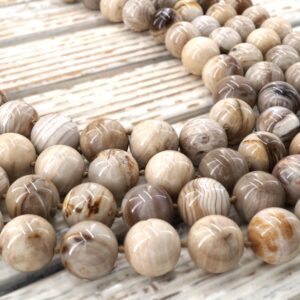 Petrified Wood Opalite Round Beads 16.5-18.5mm (etb00794)