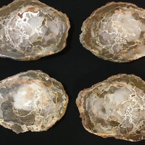 PETRIFIED WOOD Slab - Crystal Charging Plate, Trinket Holder, Decorative Coaster PETRIFIED WOOD Slab - Crystal Charging Plate, Trinket Holder, Decorative Coaster