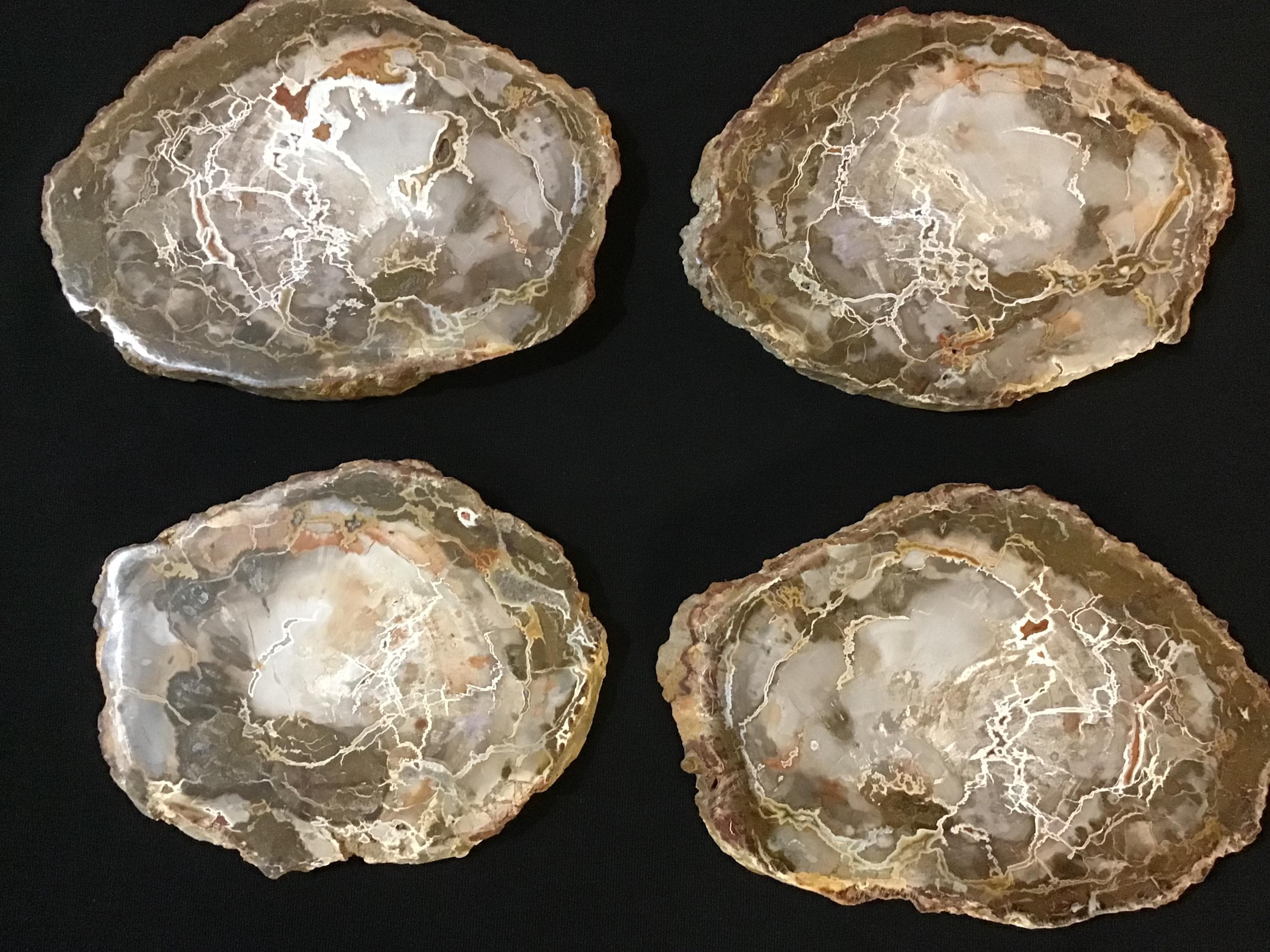 Petrified Wood Slab - Crystal Charging Plate, Trinket Holder, Decorative Coaster