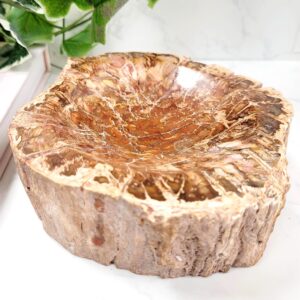 Petrified Wood Crystal Bowl • Natural Display Carving • Ethically Sourced Petrified Wood Crystal Bowl • Natural Display Carving • Ethically Sourced