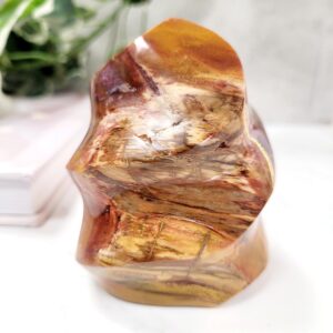 Petrified Wood Crystal Flame • Natural Fossilised Wood Carving • Ethically Sourced Petrified Wood Crystal Flame • Natural Fossilised Wood Carving • Ethically Sourced