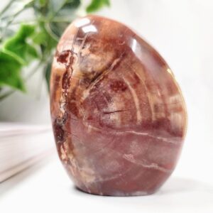 Petrified Wood Crystal Freeform • Grounding & Ancient Earth Energy • Ethically Sourced Petrified Wood Crystal Freeform • Grounding & Ancient Earth Energy • Ethically Sourced