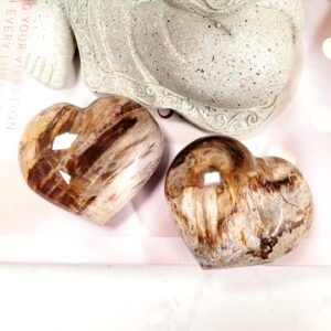 Petrified Wood Crystal Hearts • Grounding and Stability • Ethically Sourced Petrified Wood Crystal Hearts • Grounding and Stability • Ethically Sourced