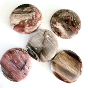 Petrified Wood Crystal Palm Stone • Smooth Polished Stone • Ethically Sourced Petrified Wood Crystal Palm Stone • Smooth Polished Stone • Ethically Sourced