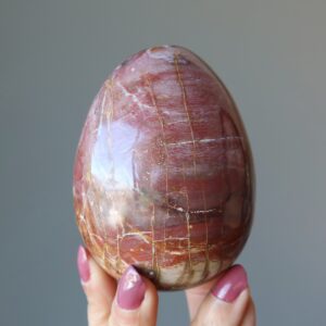 Petrified Wood Egg Timeless Strength Red Brown Crystal Petrified Wood Egg Timeless Strength Red Brown Crystal