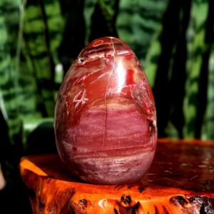 Petrified Wood free form - for grounding & balancing energy - root chakra stone Petrified Wood free form - for grounding & balancing energy - root chakra stone