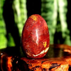 Petrified Wood free form - for grounding & balancing energy - root chakra stone Petrified Wood free form - for grounding & balancing energy - root chakra stone