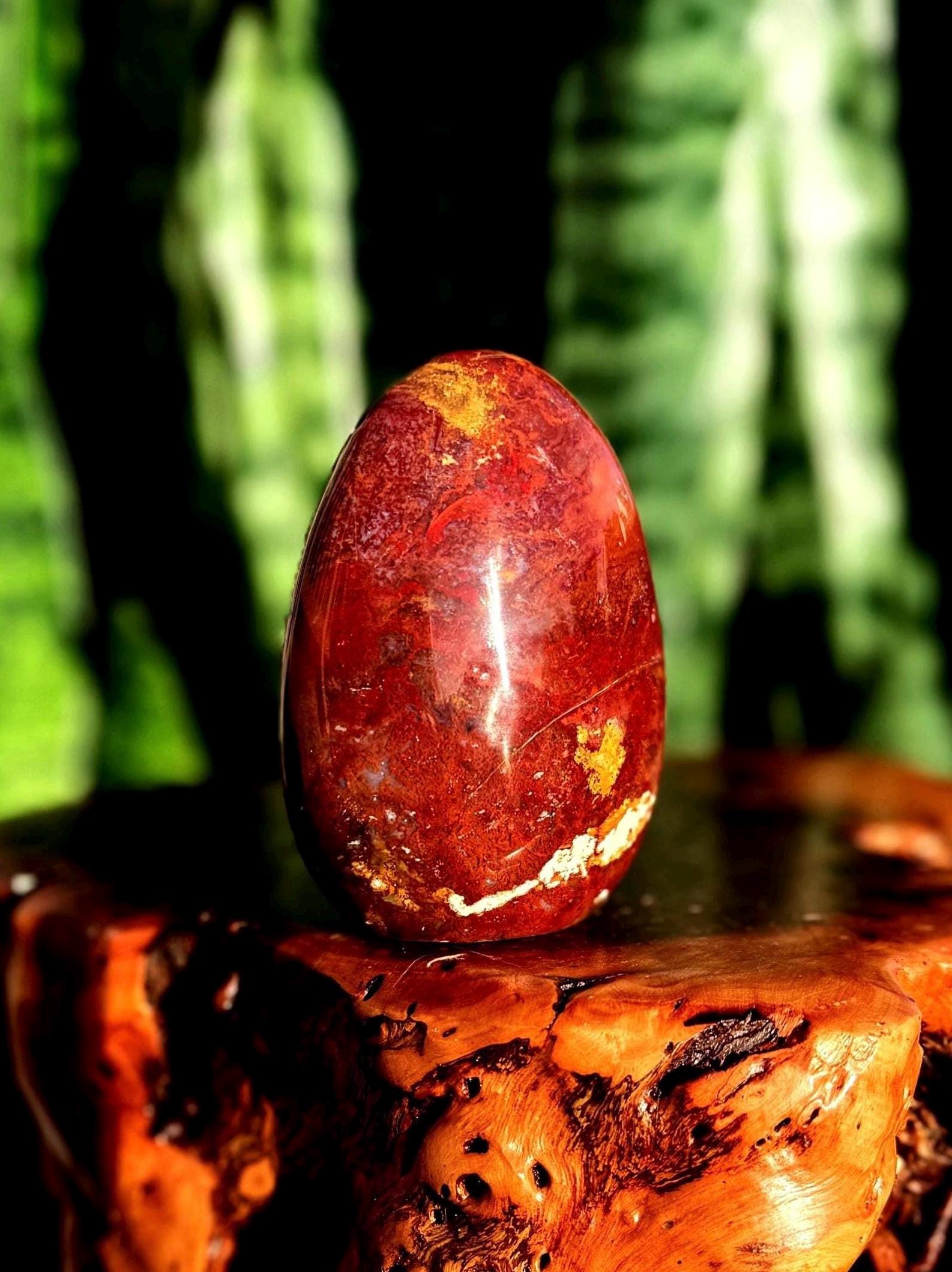 Petrified Wood Free Form - For Grounding & Balancing Energy - Root Chakra Stone